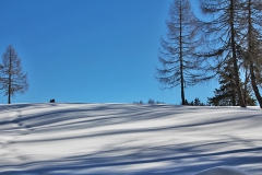 Glitzerschnee auf der Alm