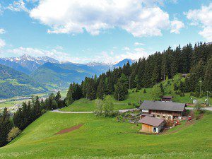 Starrpunkt der Wanderung ist der Braunhof bei Schmuders.