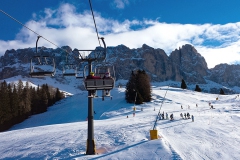 Blick auf den Rosengarten